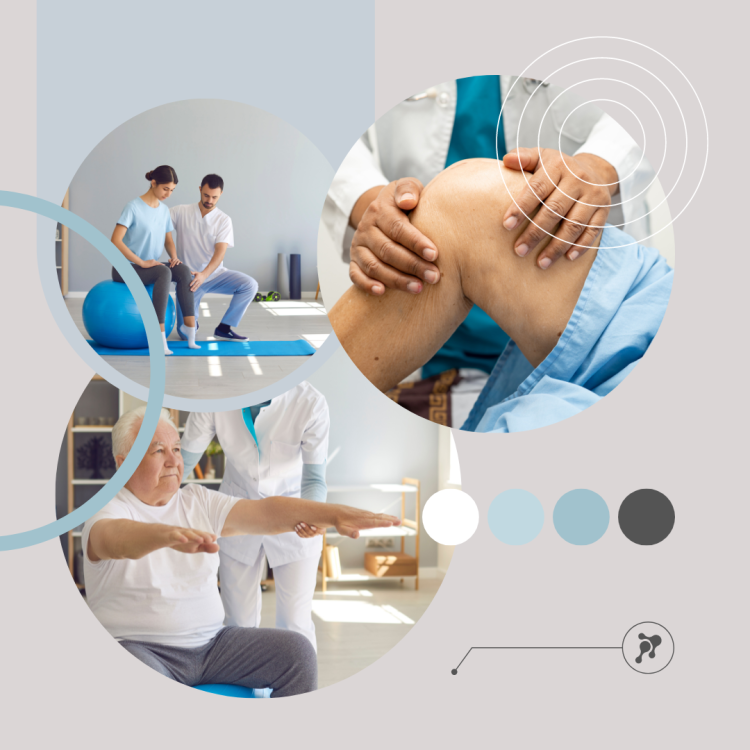 Фитокрем-бальзам (Крем для суставов, фитокрем) для суставов, локтей 250 мл. DctrGo  в Красноярске